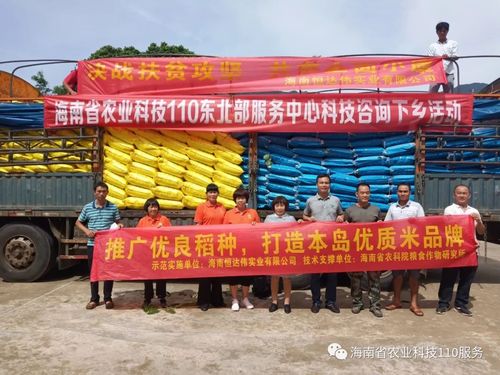 7月18日,海南省农业科学院粮食作物研究所所长王效宁,海南省农业科技